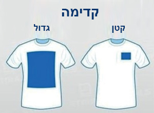 logo size