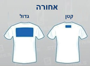 logo size